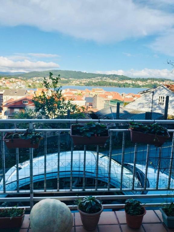Terraza con vistas